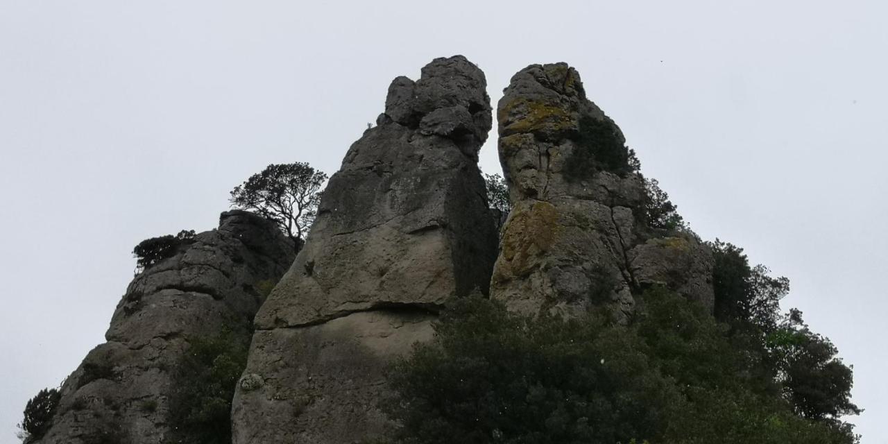 Le Mimosa Panzió Saint-Saturnin-de-Lucian Kültér fotó