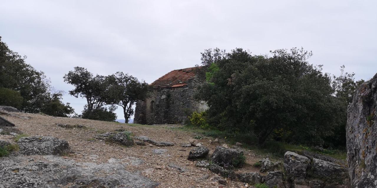Le Mimosa Panzió Saint-Saturnin-de-Lucian Kültér fotó