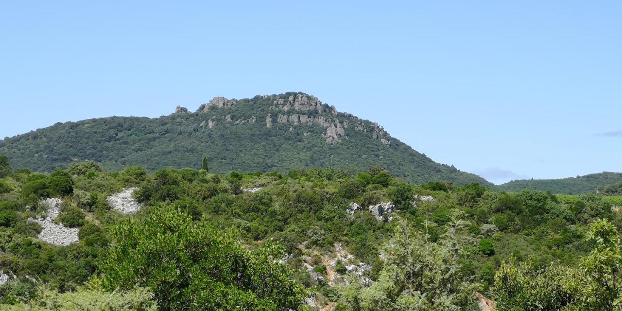 Le Mimosa Panzió Saint-Saturnin-de-Lucian Kültér fotó