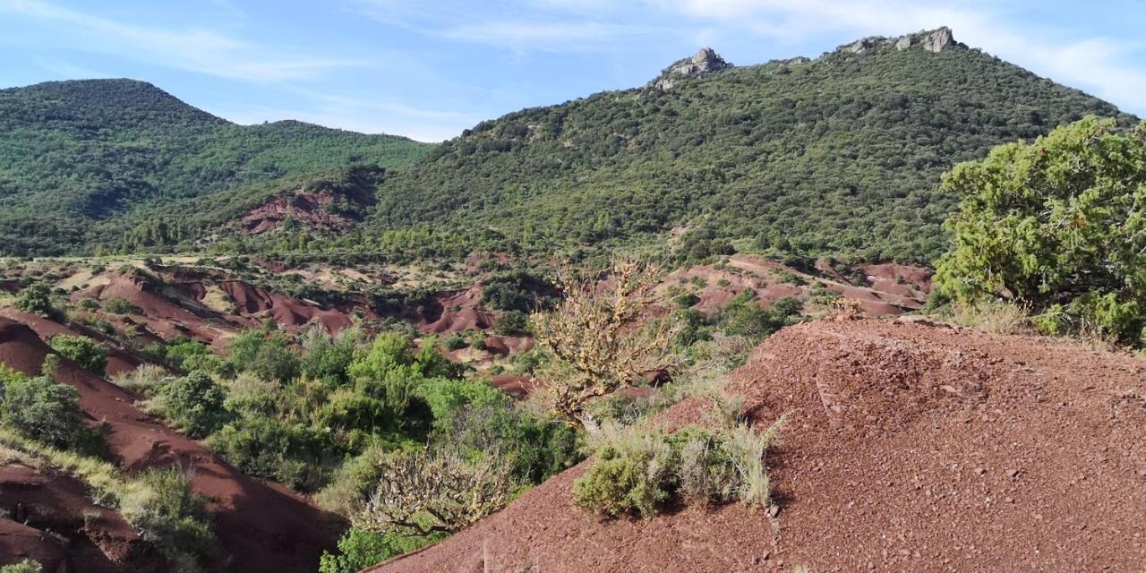 Le Mimosa Panzió Saint-Saturnin-de-Lucian Kültér fotó