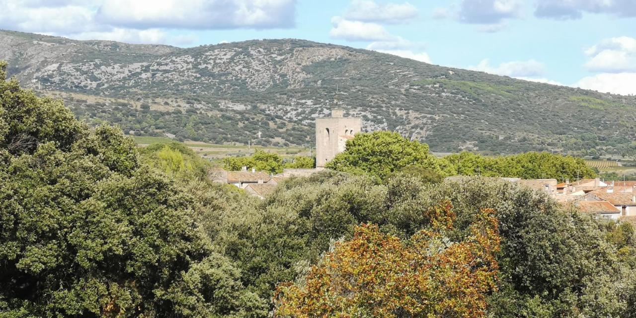 Le Mimosa Panzió Saint-Saturnin-de-Lucian Kültér fotó