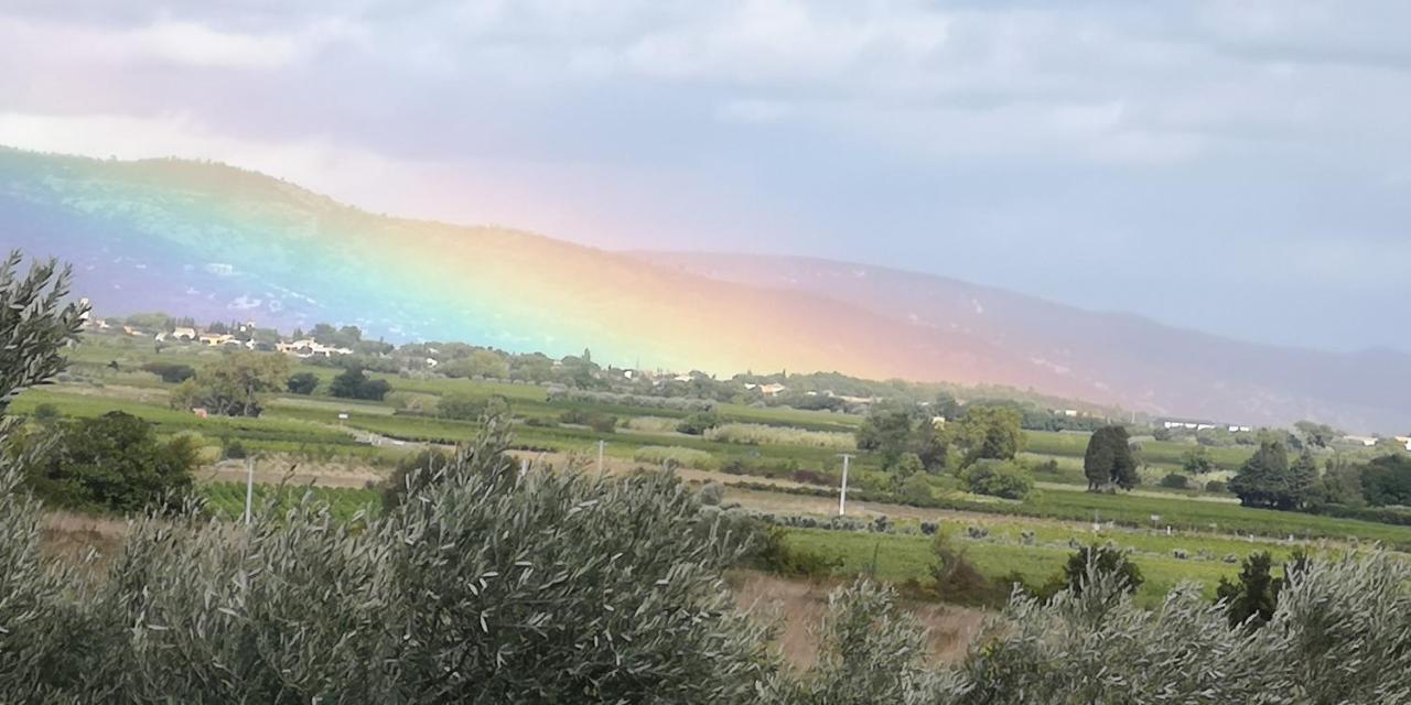 Le Mimosa Panzió Saint-Saturnin-de-Lucian Kültér fotó