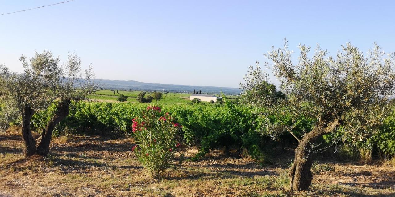Le Mimosa Panzió Saint-Saturnin-de-Lucian Kültér fotó
