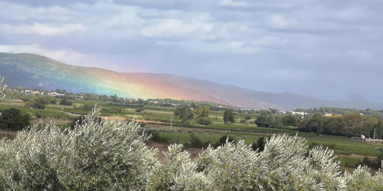 Le Mimosa Panzió Saint-Saturnin-de-Lucian Kültér fotó