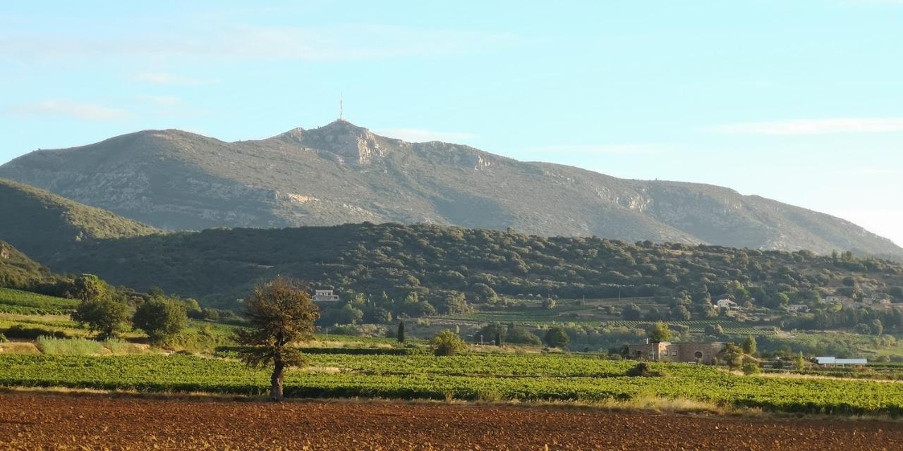 Le Mimosa Panzió Saint-Saturnin-de-Lucian Kültér fotó