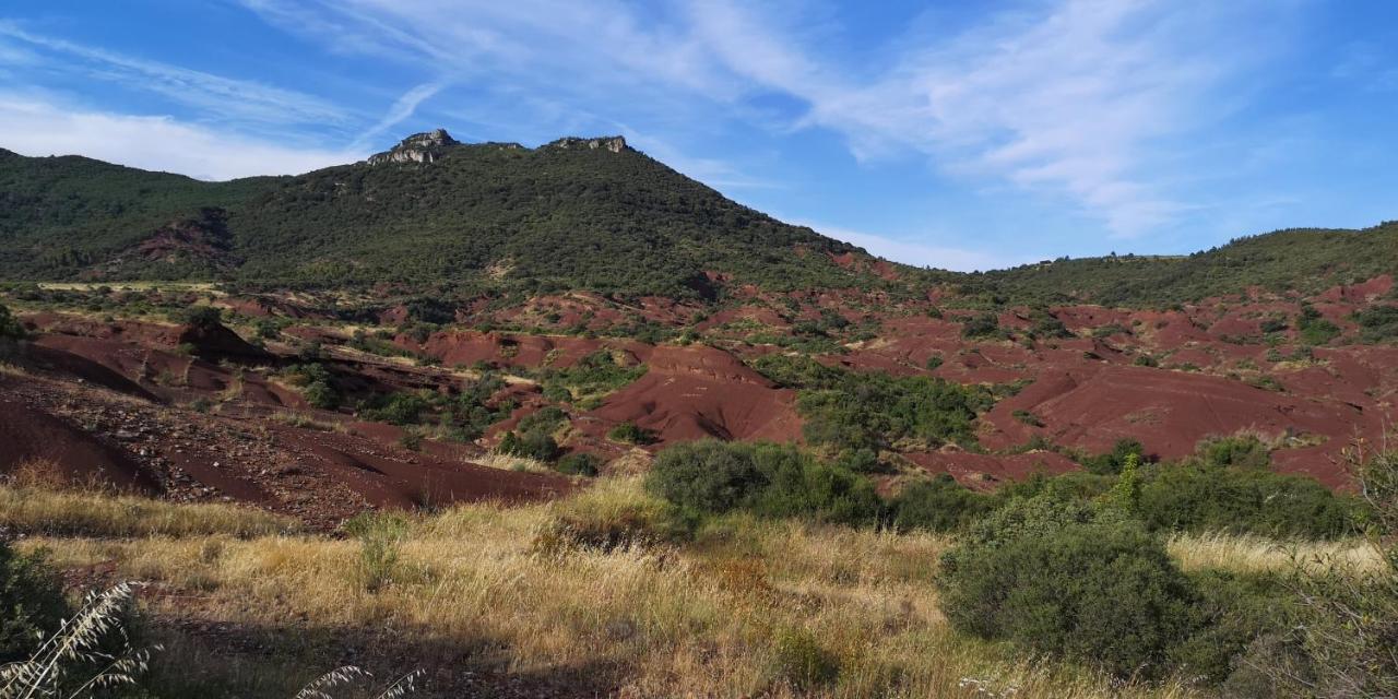 Le Mimosa Panzió Saint-Saturnin-de-Lucian Kültér fotó