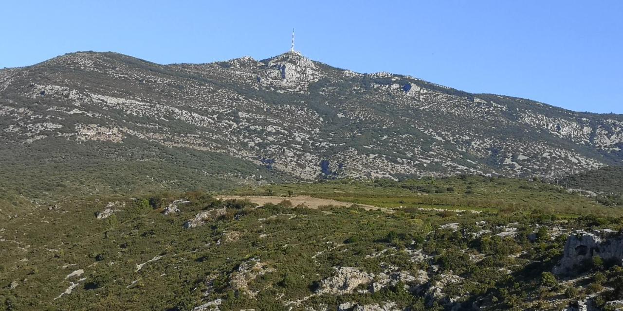 Le Mimosa Panzió Saint-Saturnin-de-Lucian Kültér fotó