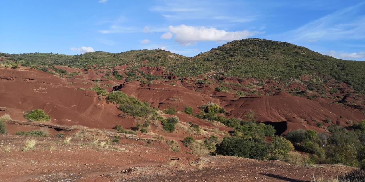 Le Mimosa Panzió Saint-Saturnin-de-Lucian Kültér fotó