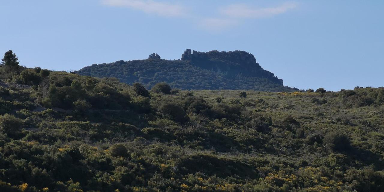 Le Mimosa Panzió Saint-Saturnin-de-Lucian Kültér fotó