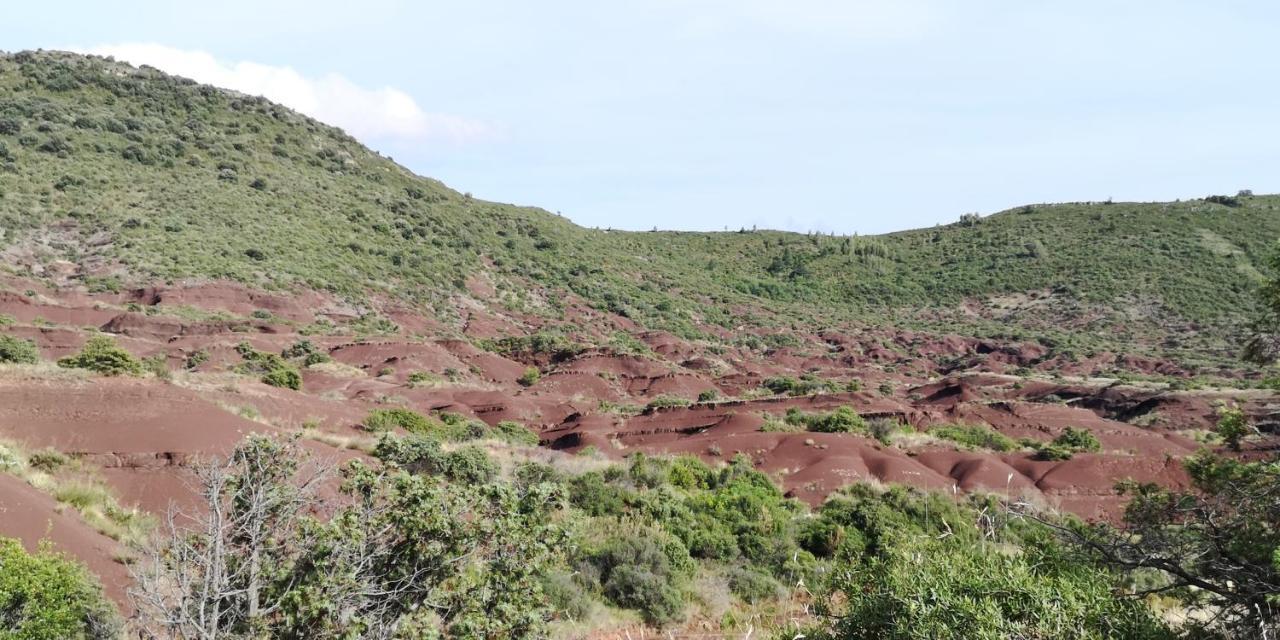 Le Mimosa Panzió Saint-Saturnin-de-Lucian Kültér fotó