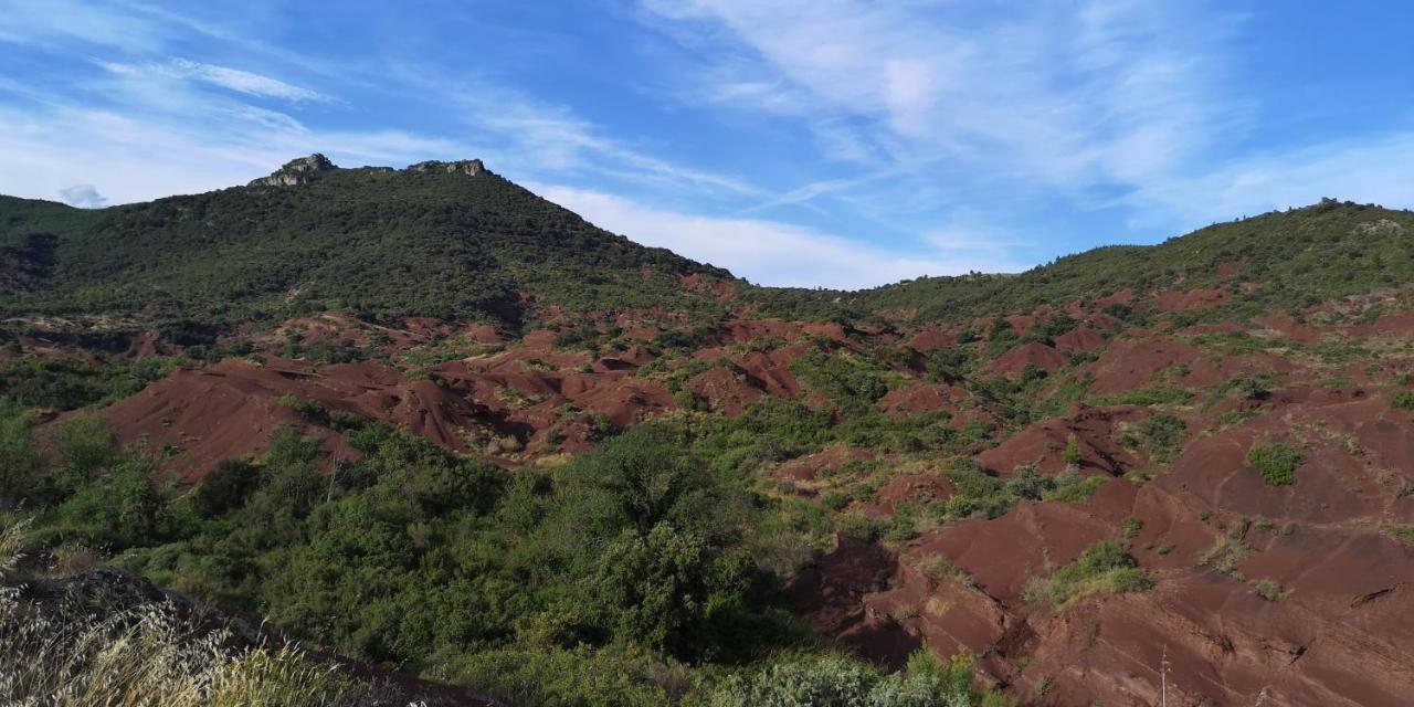 Le Mimosa Panzió Saint-Saturnin-de-Lucian Kültér fotó