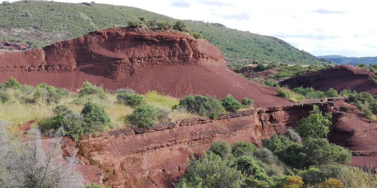 Le Mimosa Panzió Saint-Saturnin-de-Lucian Kültér fotó