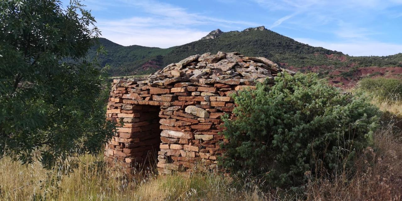 Le Mimosa Panzió Saint-Saturnin-de-Lucian Kültér fotó