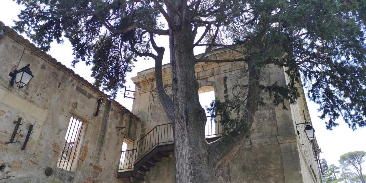 Le Mimosa Panzió Saint-Saturnin-de-Lucian Kültér fotó