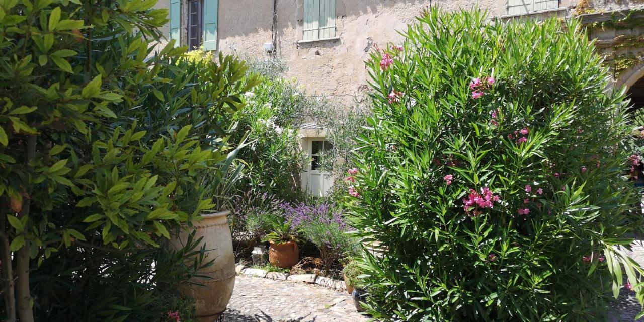 Le Mimosa Panzió Saint-Saturnin-de-Lucian Kültér fotó